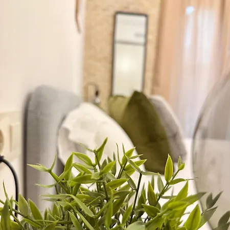 アパート Vive Xv